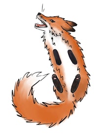 a drawing of a fox jumping up and down