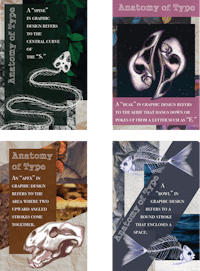 anatomy of types poster set